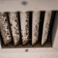 Is Mold in Air Vents Dangerous? - A Professional's Guide