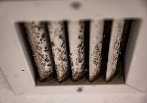 Is Mold in Air Vents Dangerous? - A Professional's Guide